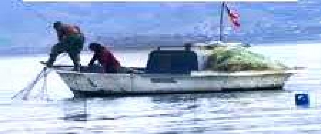 2026 Yılı Su ürünleri Avlanma Yasağı 1 Nisan’da Başlayacak