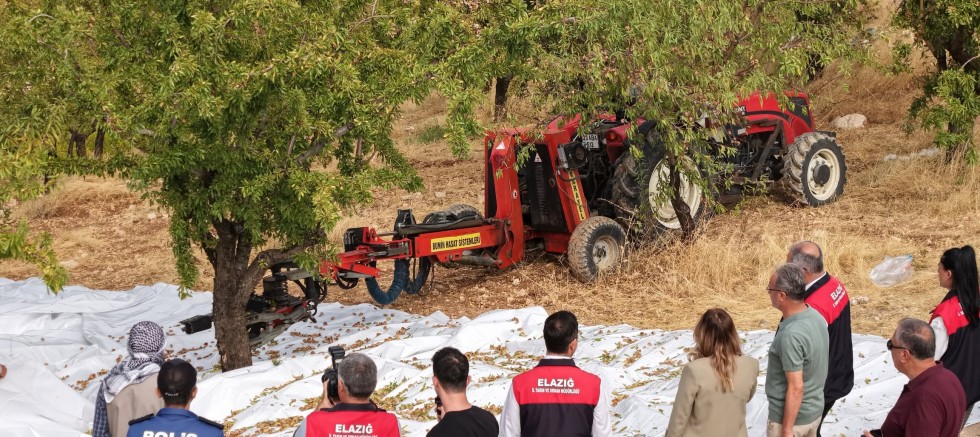 Ağın'da Badem hasadı etkinliği düzenlendi