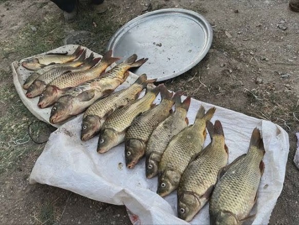 Ağın 'da Yasak Avlanmaya 78 bin 600 Türk lirası idari para cezası uygulandı