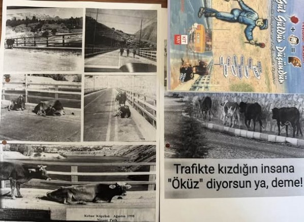 Emniyet Müdürü ve Yazar Arslan'ın kitabında Keban'daki inek hikâyesi