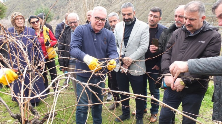 Keban'da çiftçilere uygulamalı bağ budama eğitimi
