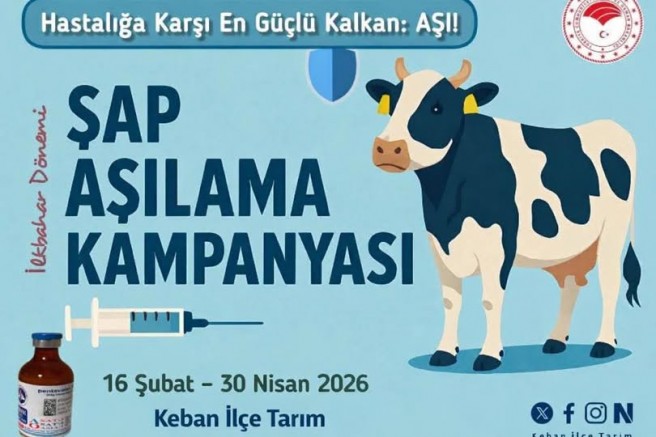 Keban'da İlkbahar dönemi şap aşılama kampanyası başladı