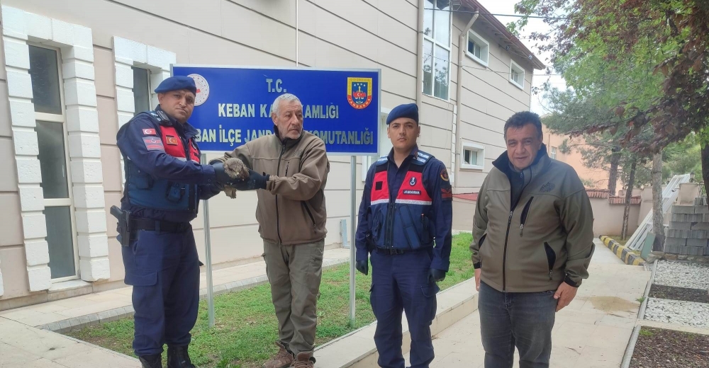   KEBAN'DA YARALI KARTAL KORUMA ALTINA ALINDI