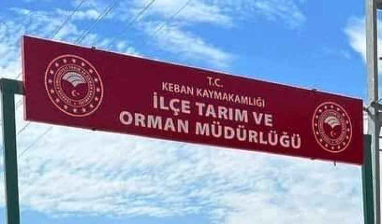 Keban İlçe Tarım %75 Hibeli ile zeytin fidesi dağıtılacak