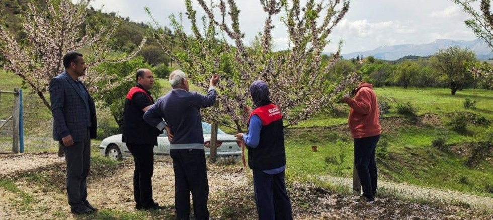 Keban İlçe Tarım ve Orman Müdürlüğü Sahadaki gelişmeleri yerinde inceledi