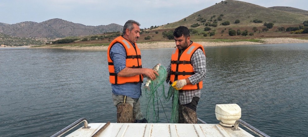 Keban, Karakaya ve Atatürk Baraj Göllerindeki İstilacı Balıklar belirleniyor