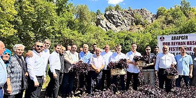 2. Mor Reyhan Hasadı ve Karakucak Güreş Şenlikleri başladı