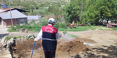 Ağın'da 15 Köye Larva ilaçlaması yapıldı