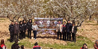 Ağın'da Badem çiçeği Festivali düzenlendi