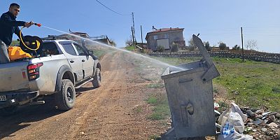 Ağın'da haşere ile mücadele çalışması başladı