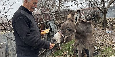 Ağın Saraycık'ta Kırsala terk edilen 