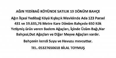 AĞIN YEDİBAĞ KÖYÜNDE SATILIK 19 DÖNÜM BAHÇE