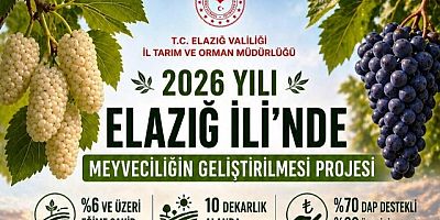 Elazığ'da % 70 Hibeli Dut Bahçesi ve Bağ Tesisi İçin Başvurular Başladı 