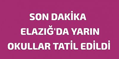 Elazığ'da kar yağışı nedeniyle okullar yarın tatil !