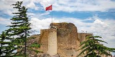 Elazığlı Valilere Yeni Görev Çiçek Karaman Valiliği’ne, Yavuz ise Adana Valiliği’ne atandı