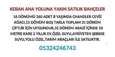 KEBAN ANA YOLUNA YAKIN SATILIK BAHÇELER