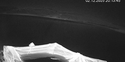 Keban Baraj Gölü'nde Nesli Tükenme Tehlikesi Altında Olan Su Samuru Görüldü