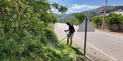 Keban Belediyesi ot biçme, çevre temizliği, haşere  ilaçlama çalışmaları