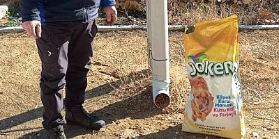 Keban Belediyesi Sokak hayvanları için mama bıraktı