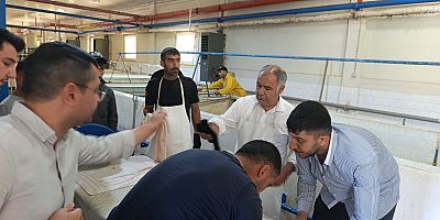 Keban'da 2026 yılı üretim döneminde 15 milyon adet sazan balığı üretimi hedefleniyor