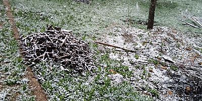 Keban'da  6 köye Nisan Kar'ı üreticileri tedirgin etti