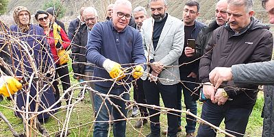 Keban'da çiftçilere uygulamalı bağ budama eğitimi