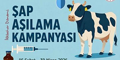 Keban'da İlkbahar dönemi şap aşılama kampanyası başladı