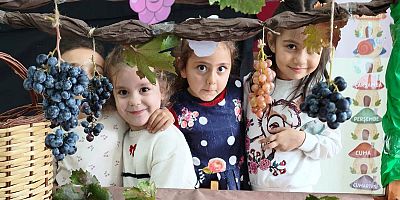 Keban'da Öğrenciler üzüm hasadı yaptılar