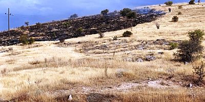 Keban'da otluk alan ve merada çıkan yangın söndürüldü