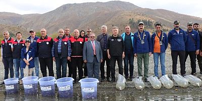 Keban'da üretilen 30 Bin Sazan Balığı Hazar Gölüne bırakıldı