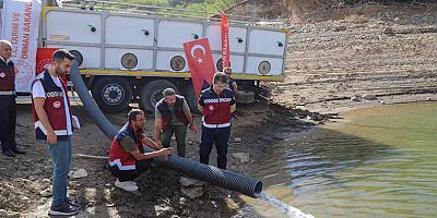 Keban'dan  Bingöl'e 1 Milyon 470 bin Pullu yavru Sazan bırakıldı