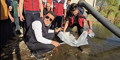 Keban'dan Tunceli'ye 850 bin Pullu Sazan bırakıldı