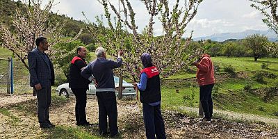 Keban İlçe Tarım ve Orman Müdürlüğü Sahadaki gelişmeleri yerinde inceledi