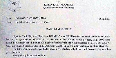 Keban'ın 6  Köyünde Koyun Keçi Çiçeği Hastalığı Karantinası