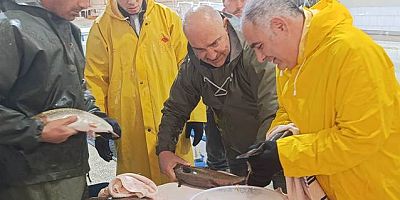 Keban Su Ürünleri Üretim İstasyonunda Alabalık Sağımı yapıldı 