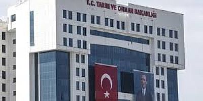 TARIM VE ORMAN BAKANLIĞI 200 SÖZLEŞMELİ PERSONEL ALACAK